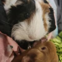 Photo of Zach & Bubbles
