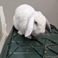 Photo of Emmy