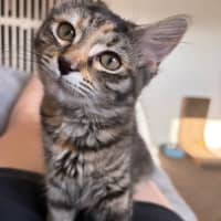 Photo of Francesca Moo