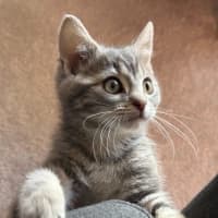 Photo of Umami And Dashi