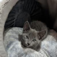 Photo of Alaya