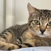 Photo of Mabel