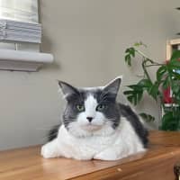Photo of Aspen