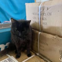 Photo of Nibbles & Moth