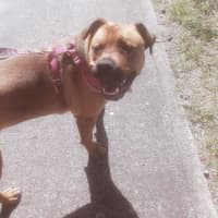 Photo of Skye Peggotty