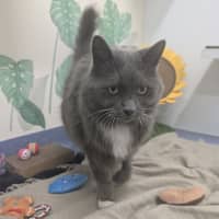 Photo of Lord Biscuit I I I