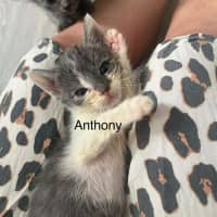 Photo of Anthony