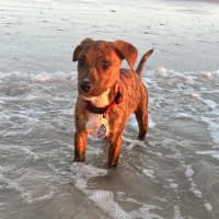 Photo of Candy
