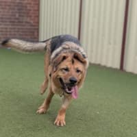 Photo of Roxy 