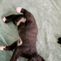 Photo of Zuko