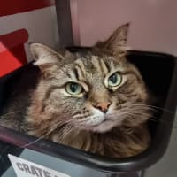 Photo of Mystie