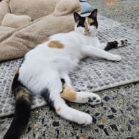 Photo of Mitzi