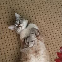 Photo of Milo And Max