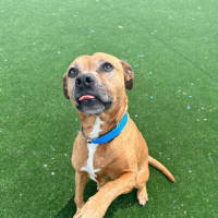 Photo of Jett Imp 2091