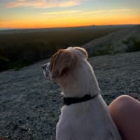 Photo of Igloo