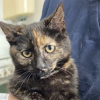 Photo of Mimi