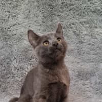 Photo of Marci