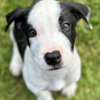 Photo of Bug