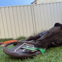 Photo of Terry