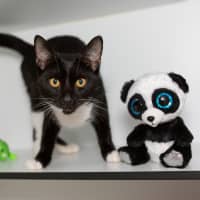 Photo of Dottie