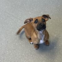 Photo of Mable