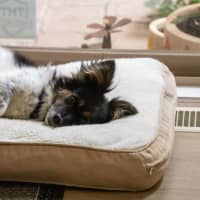 Photo of Betsy Moriarty