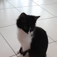 Photo of Winnie 
