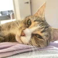 Photo of Kaiya
