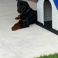 Photo of Zeus