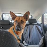 Photo of Huey