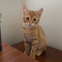 Photo of Ory