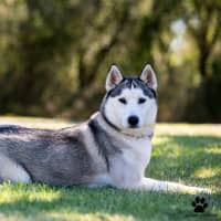 Photo of Crystal