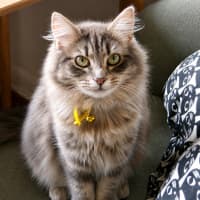 Photo of Matilda