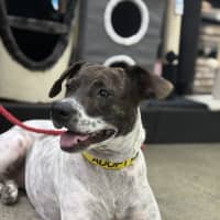 Photo of Billie Jean