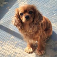 Photo of Molly & Milly