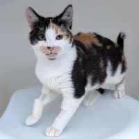 Photo of Tilly