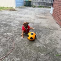 Photo of Bandit