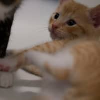 Photo of 🧡 Cinnabon 🤍