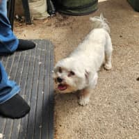 Photo of Doudou Bulleau