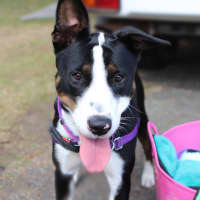 Photo of Mia