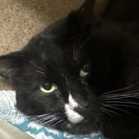 Photo of Bob The Builder