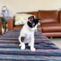 Photo of Marra   Meet Me At Vets On Parker