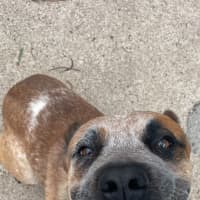Photo of Max