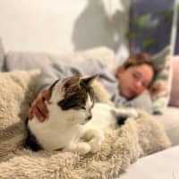 Photo of Bunny