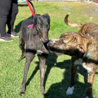 Photo of Betty Clover