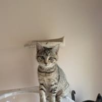 Photo of Kyla