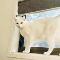 Photo of Coops