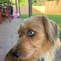 Photo of Steven