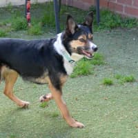 Photo of Lucy