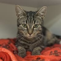 Photo of Roderick
